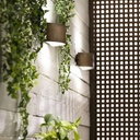 Decori Outdoor Wall Light