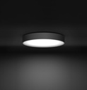 Ola Color Outdoor Wall and Ceiling Light