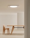 Cassete Wall and Ceiling Light