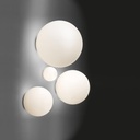 Dioscuri Wall and Ceiling Light
