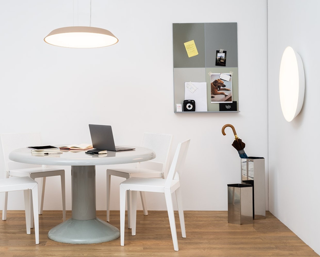 Febe Wall and Ceiling Light