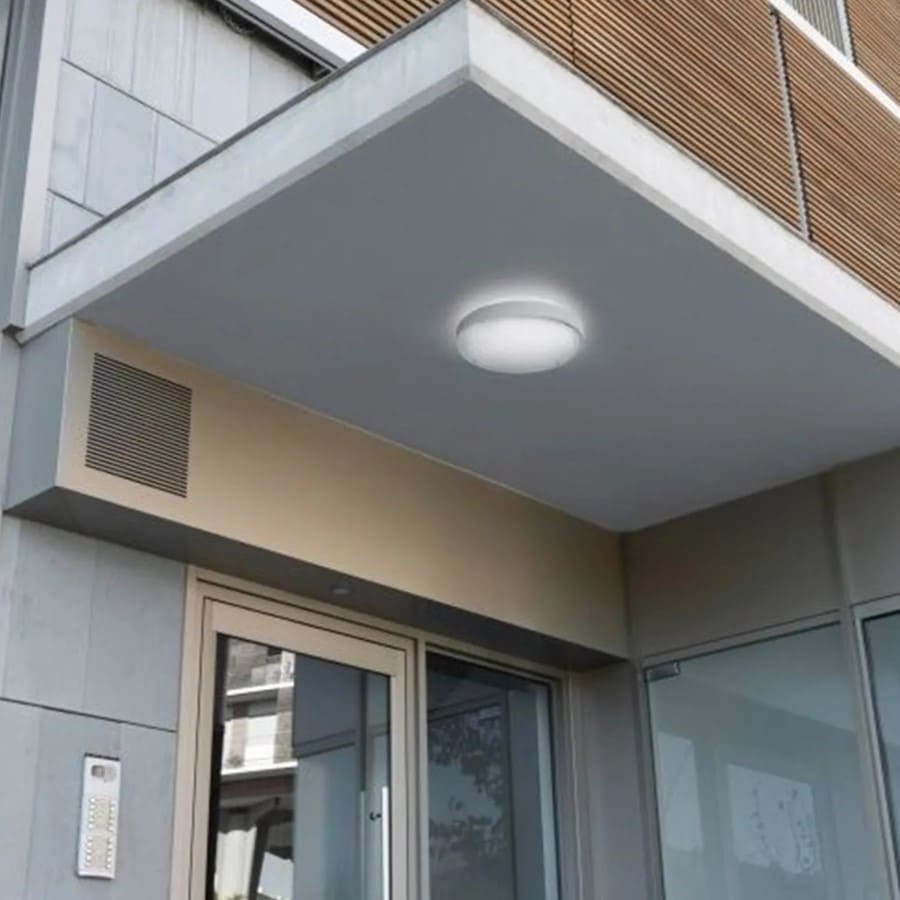 Basic LED Outdoor Wall and Ceiling Light