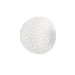 Meteorite E14 Wall and Ceiling Light