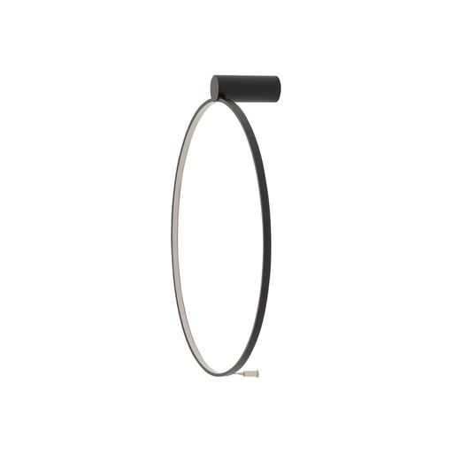 Circolo Wall and Ceiling Light