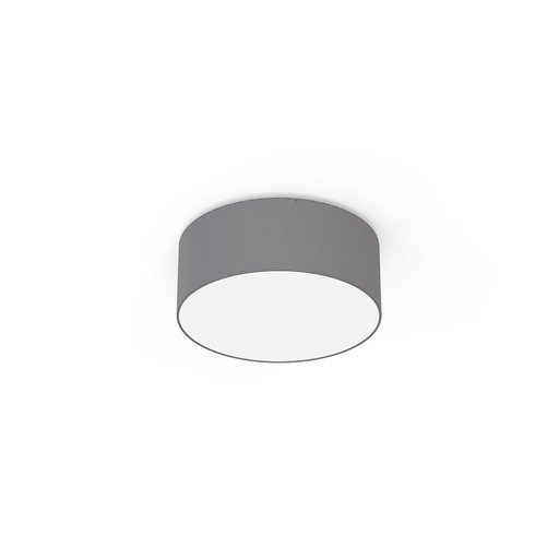 Cameron II Ceiling Light