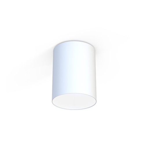 Cameron Ceiling Light