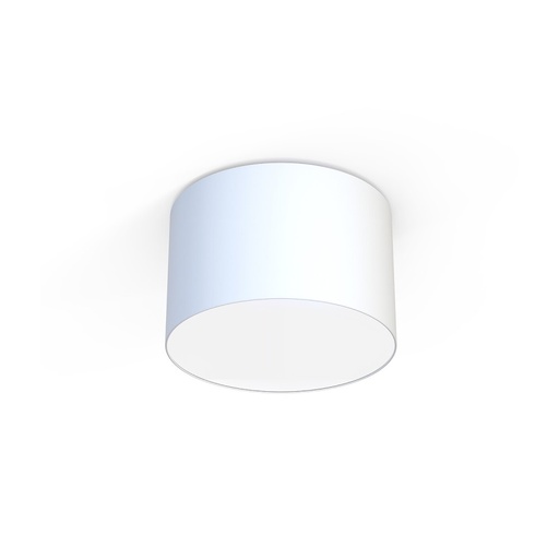 Cameron III Ceiling Light