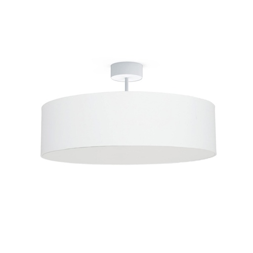 Violet Ceiling Light