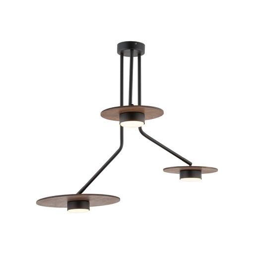 Disk Ceiling Light