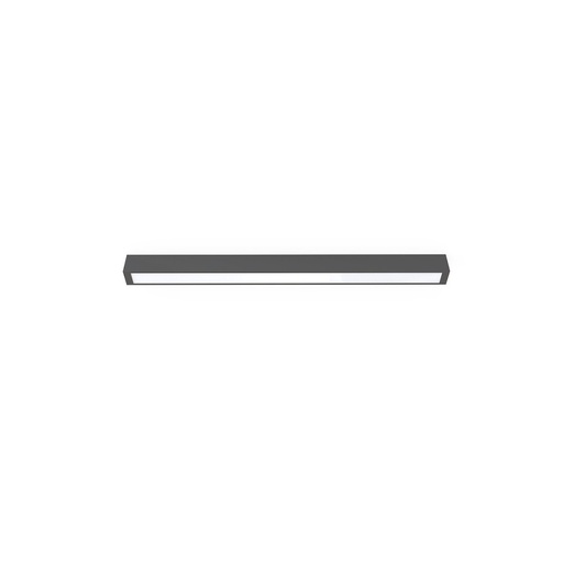 Straight Ceiling Light