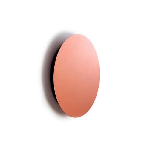 Ring Wall Light