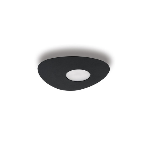 Organic Ceiling Light