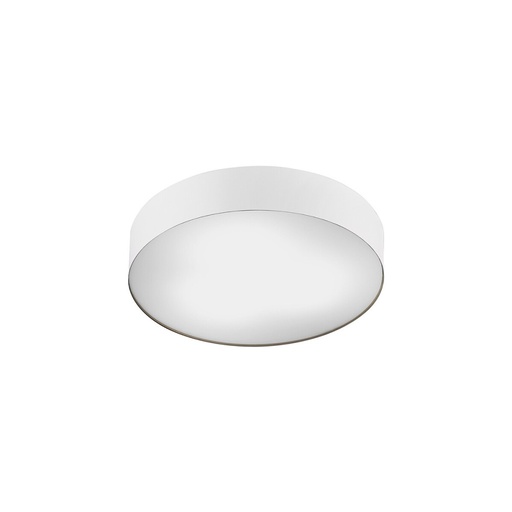 Arena Sensor Ceiling Light