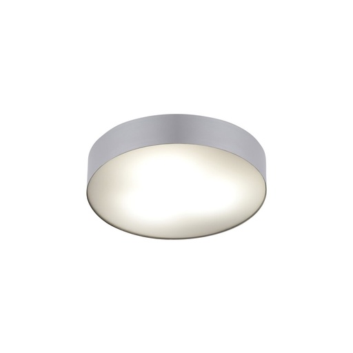 Arena LED Ceiling Light