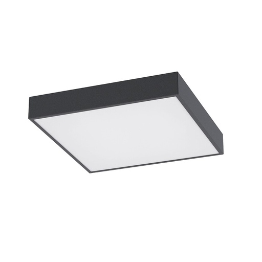 Quad Ceiling Light