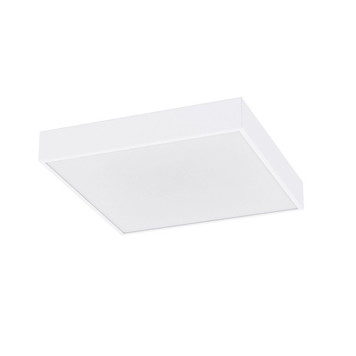 Quad Sensor Ceiling Light