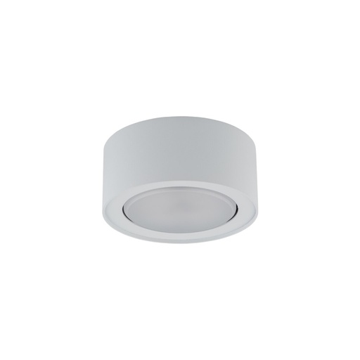 Flea Ceiling Light