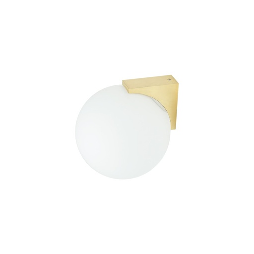 Aloe Wall Light