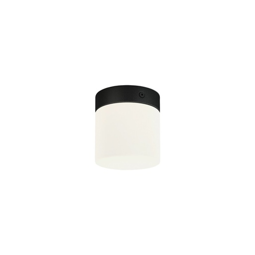 Cayo Ceiling Light