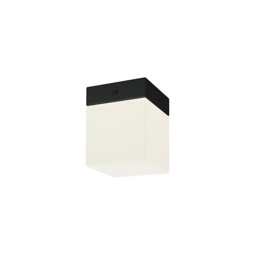 Sis Ceiling Light