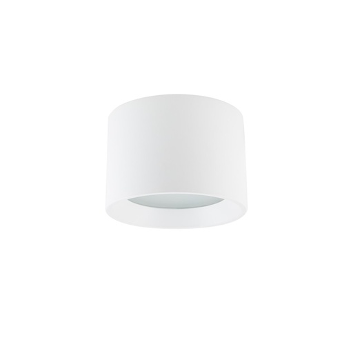 Maun Ceiling Light