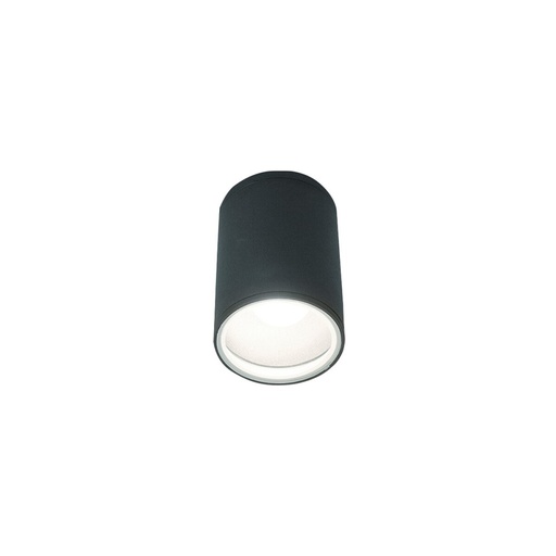 Fog Outdoor Ceiling Light
