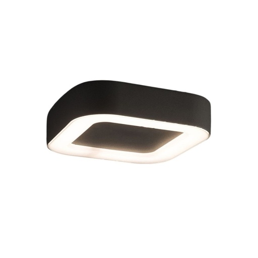 Puebla Outdoor Wall and Ceiling Light