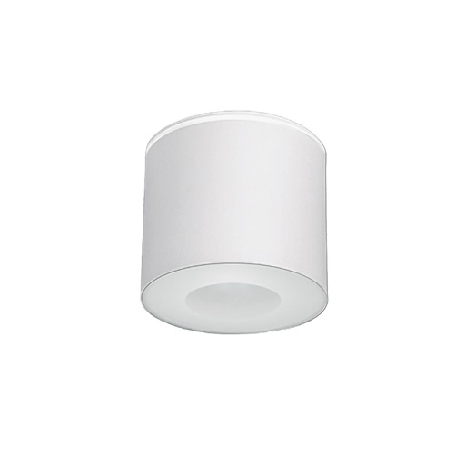 Hexa Outdoor Ceiling Light