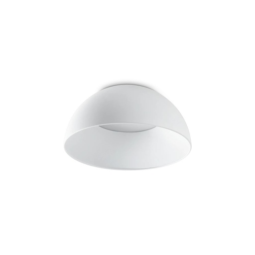 Corolla Ceiling Light