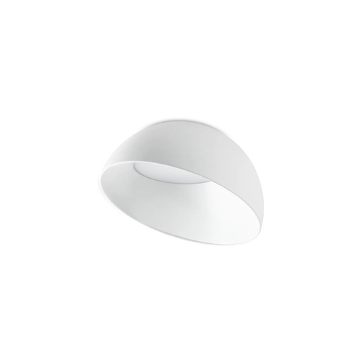 Corolla Ceiling Light