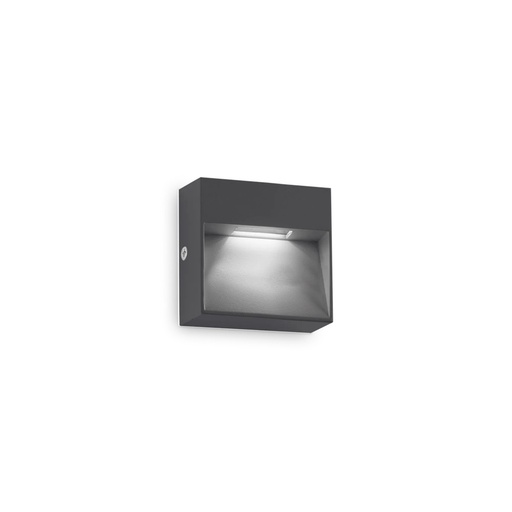 Dedra Outdoor Wall Light