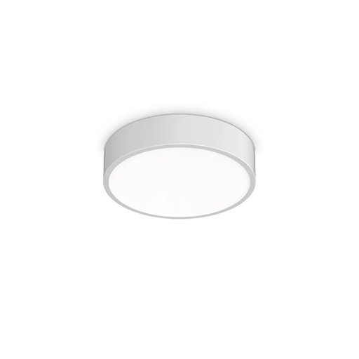 Ray Ceiling Light