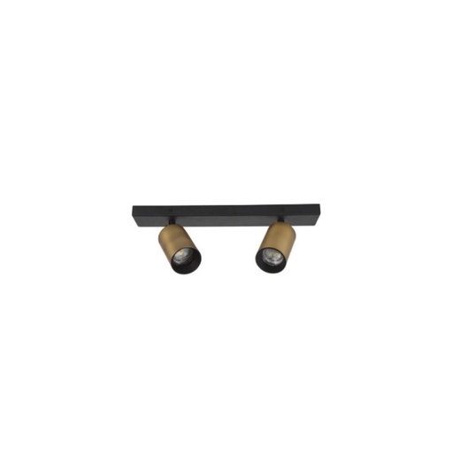 Inus Ceiling Light