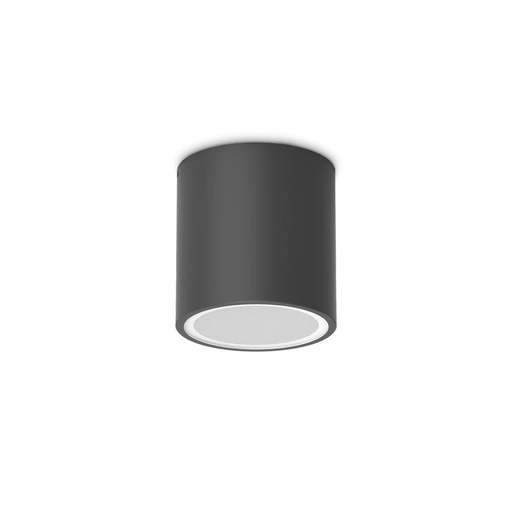 Techo Outdoor Ceiling Light