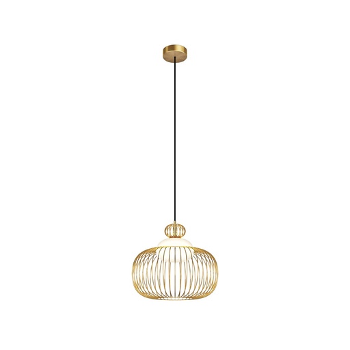 Levitation Pendant lamp