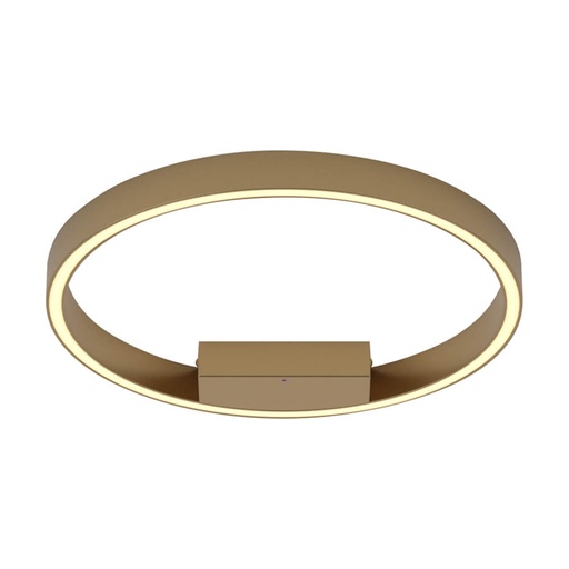 Rim Ceiling Light