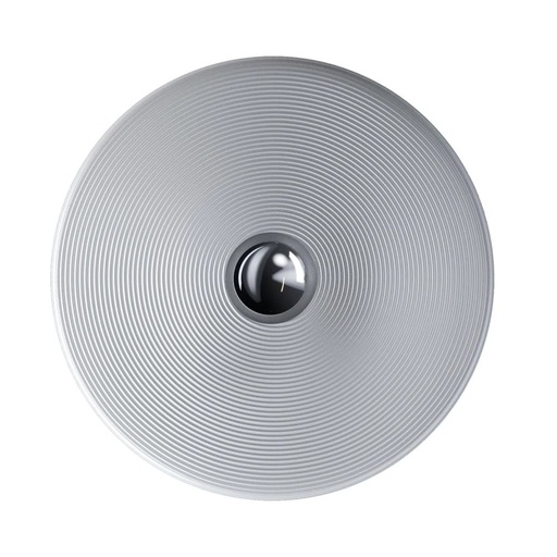 Vinyl Wall and Ceiling Light