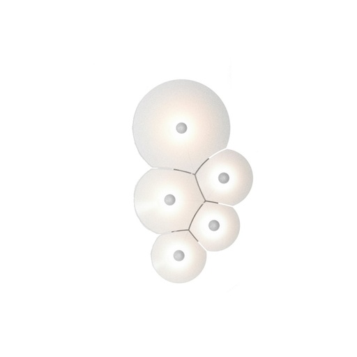 Bulbullia LED Ceiling and Wall Light