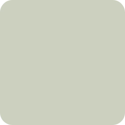 Product Colour: Sage Green