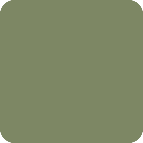 Product Colour: Olive green