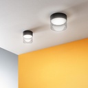 Crumb Ceiling Light