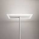 Dublight Floor Lamp