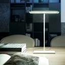 Dublight Table Lamp