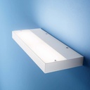 Regolo Wall Light