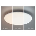 Switch Outdoor Ceiling and Wall Light