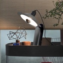 Lampiatta Table and Wall Lamp