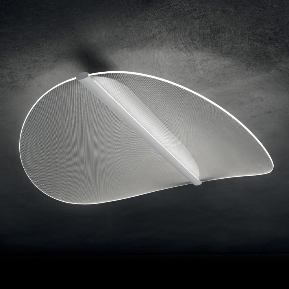 Diphy Wall and Ceiling Light