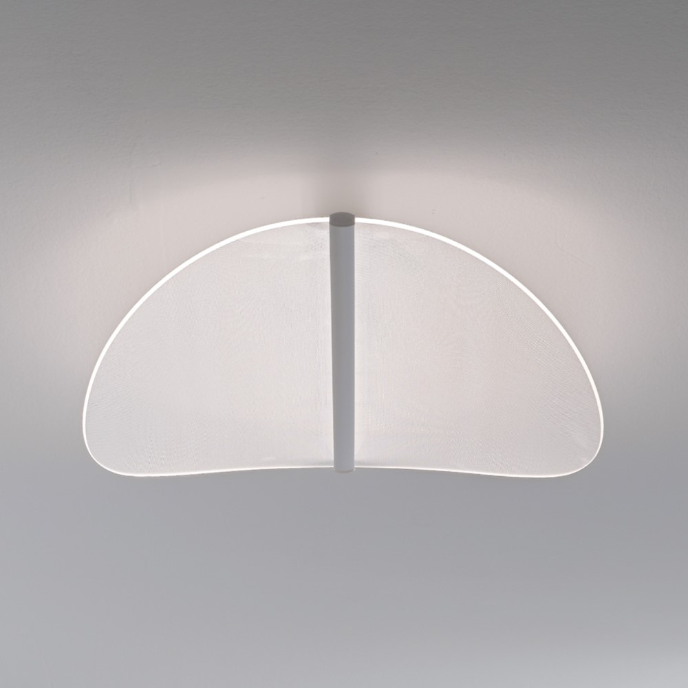 Diphy Wall and Ceiling Light