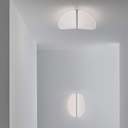 Diphy Wall and Ceiling Light