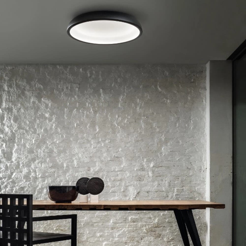 Reflexio Ceiling and Wall Light